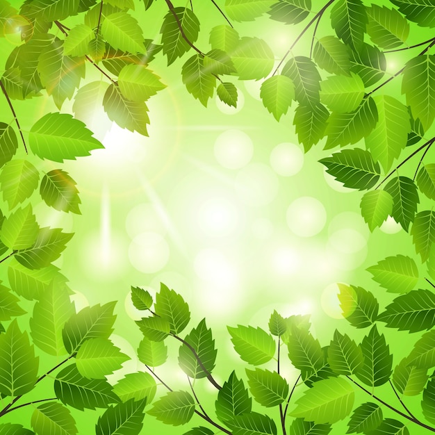 Frühlingsrahmen aus frischen grünen Blättern mit zentralem Copyspace mit einem funkelnden Sonnenlicht-Bohek im quadratischen Format für Öko- und Naturkonzepte