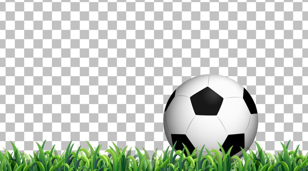 Fußball auf der Wiese auf transparentem Hintergrund