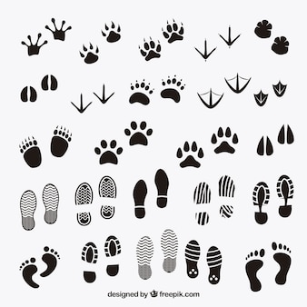 Fußspuren schatten von tieren und mensch