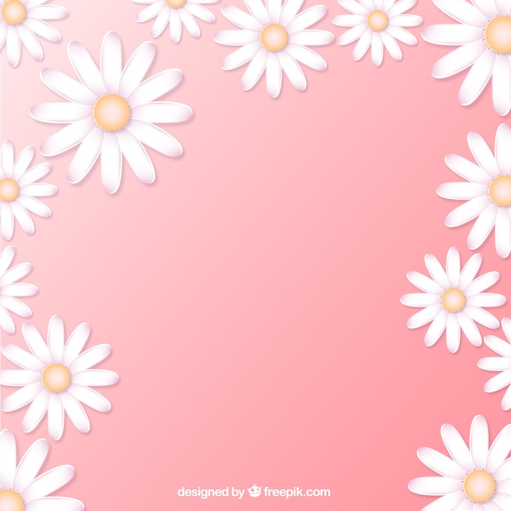 Kostenlose Vektor gänseblümchen hintergrund