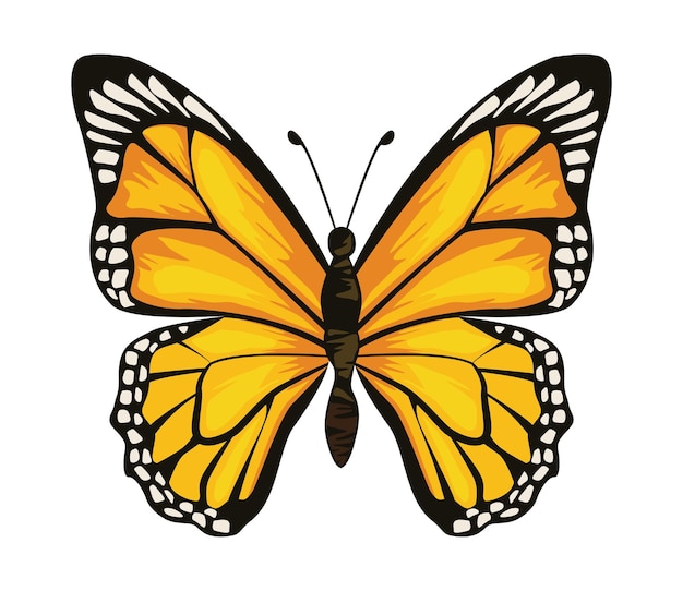 Gelbes Schönheits-Schmetterlings-Insektensymbol