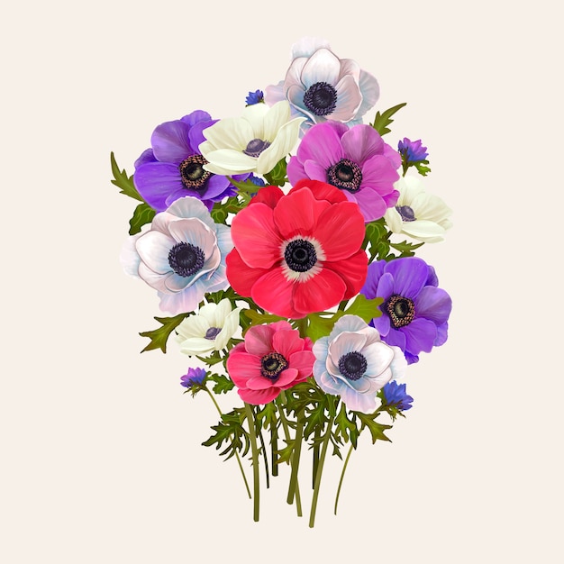 Gemischte anemonenblüten