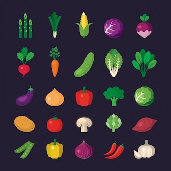Gemüse-ikonen-sammlung