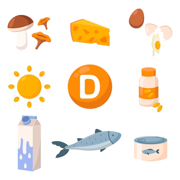 Gesundes Essen, angereichert mit Vitamin-D-Vektorillustrationen. Quellen für Vitamin D, Pilze, Käse, Milch oder Joghurt, Fisch, Thunfisch in Dosen isoliert auf weißem Hintergrund. Ernährung, Gesundheit, Diätkonzept