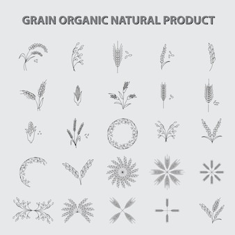 Getreide bio-naturprodukt
