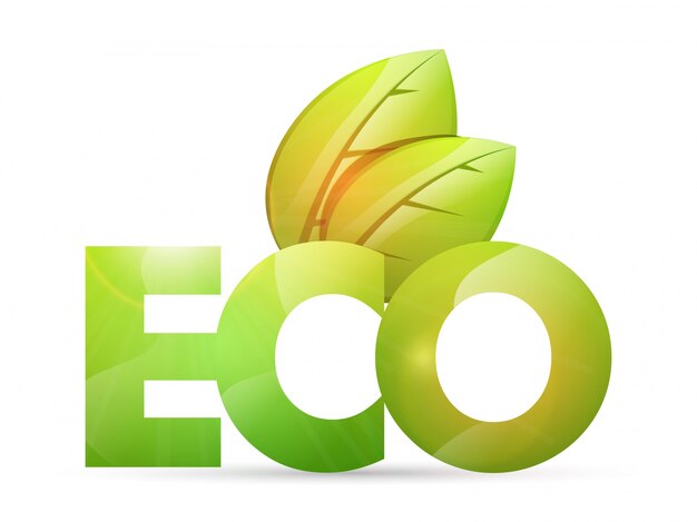 Glossy grüne Blätter und Text ECO auf weißem Hintergrund.