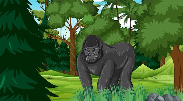 Kostenloser Vektor gorilla in wald- oder regenwaldszene mit vielen bäumen