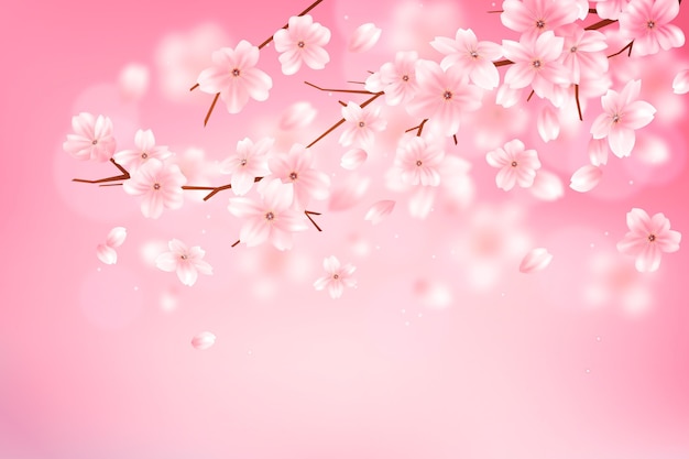 Kostenloser Vektor gradient sakura blumenzweig hintergrund