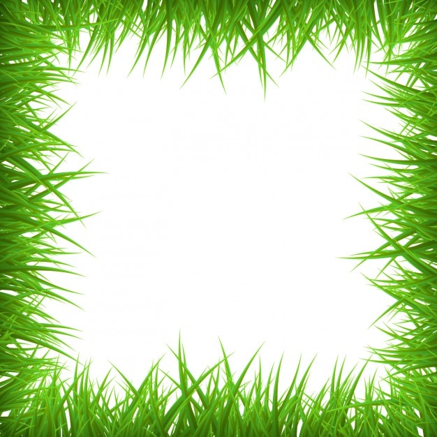 Grass-Frame-Hintergrund