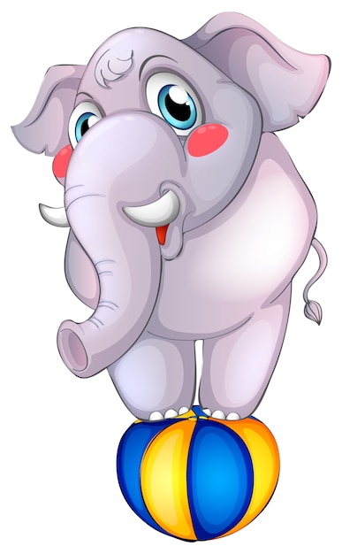 Grauer elefant auf ball auf weiß