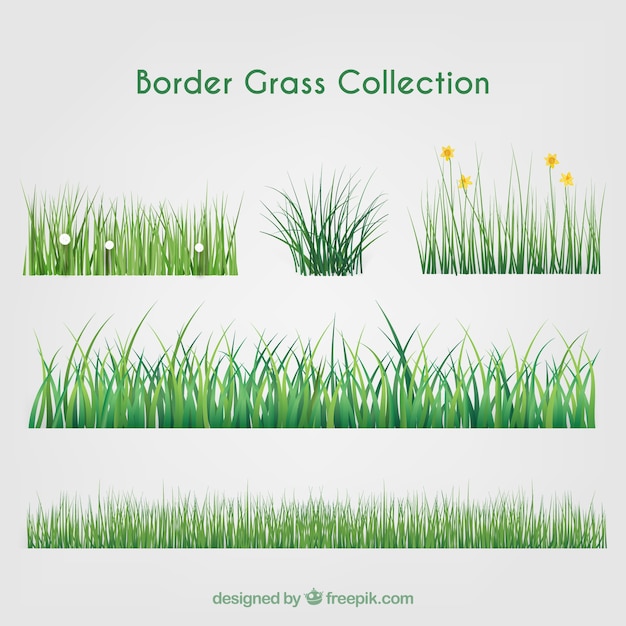 Große Sammlung von Gras Grenzen
