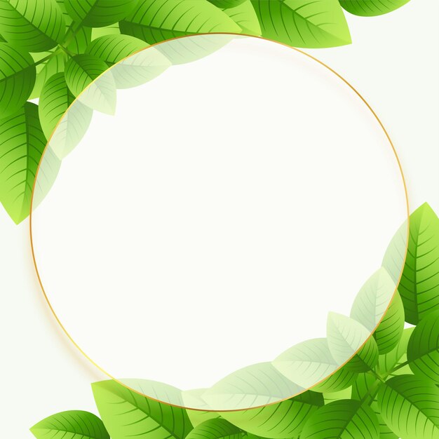 Grüne Öko-Blätter Hintergrund mit kreisförmigem Rahmen