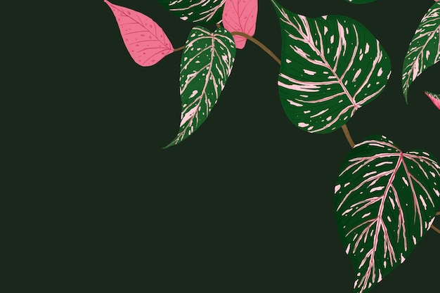 Grüne tropische Illustration des Hintergrundvektors