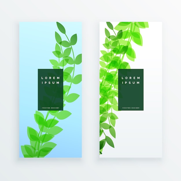 grüne vertikale Blätter Banner-Design