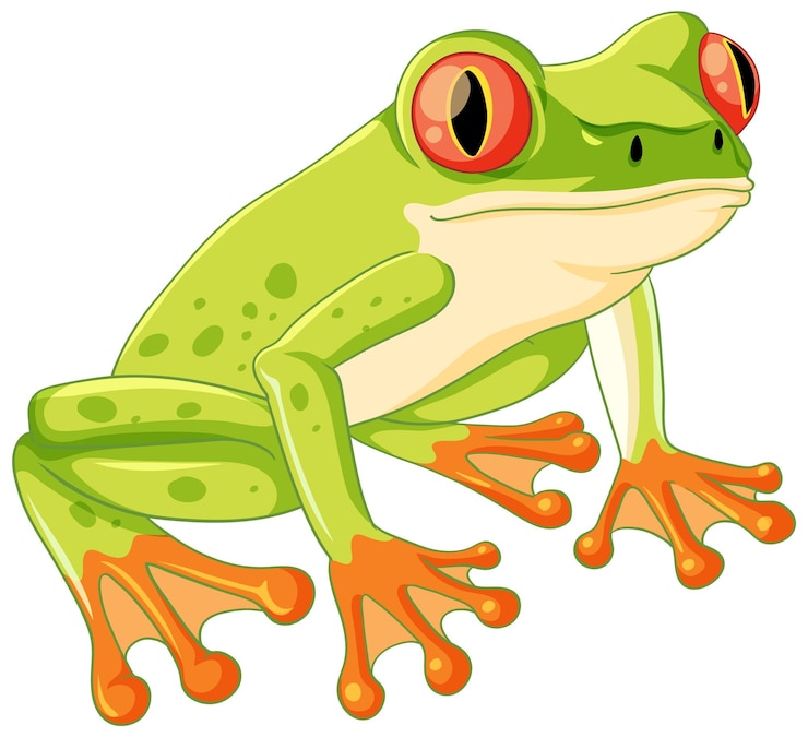 Kostenlose Vektor grüner frosch-cartoon isoliert