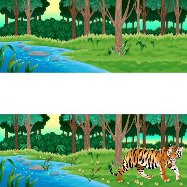 Grüner wald mit und ohne die tiger vector cartoon illustration