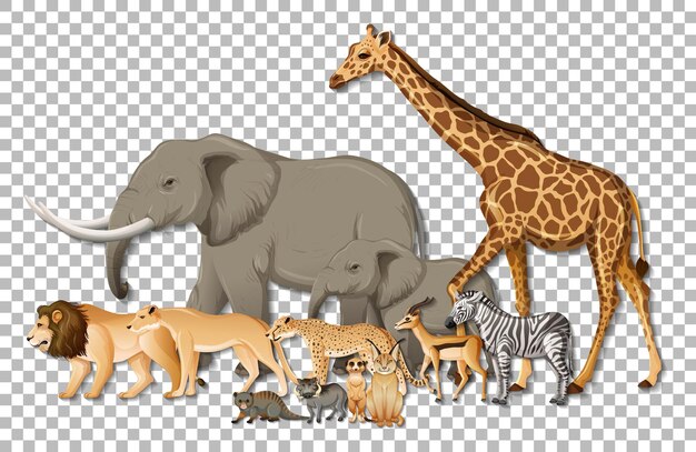 Gruppe wilder afrikanischer Tiere auf transparentem Hintergrund