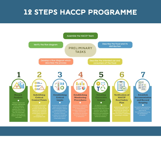 Haccp-infografiken zur lebensmittelsicherheit mit runden symbolen für nummerierte kategorien mit farbcodierten abschnitten mit textvektorillustration