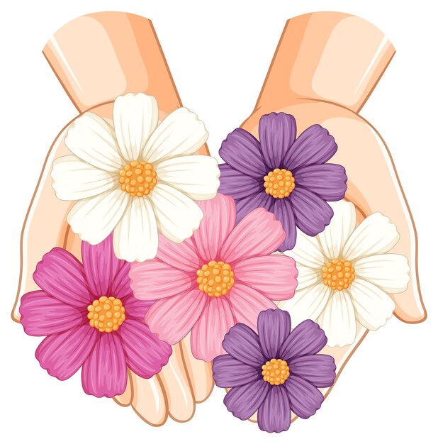 Hände, die eine bunte Cosmos-Blumen-Illustration halten