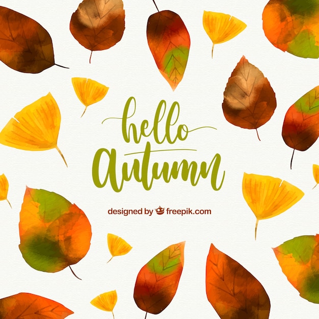 Hallo Herbst Schriftzug Hintergrund