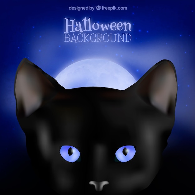 Kostenloser Vektor halloween schwarze katze hintergrund mit blauen augen