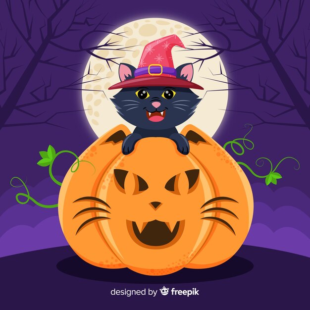 Halloween schwarze Katze in Kürbis mit Vollmond