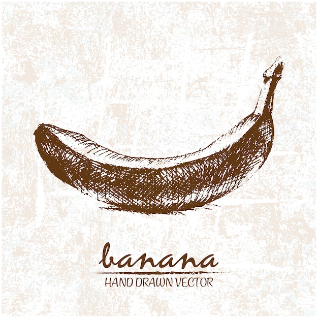 Hand gezeichnet banane design