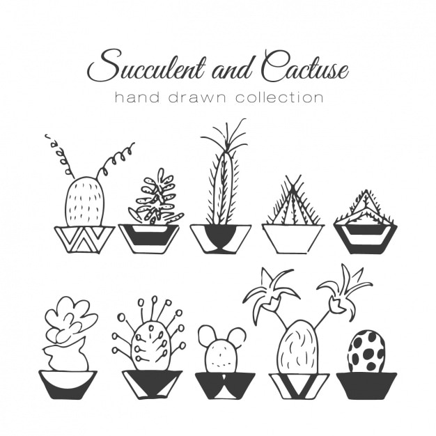 Kostenloser Vektor hand gezeichnet kaktus mit topf sammlung
