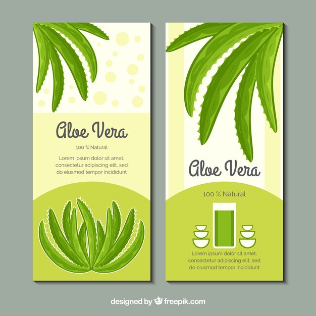 Kostenloser Vektor hand gezeichnete aloe vera banner