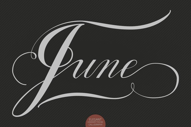 Hand gezeichnete Beschriftung Juni. Elegante moderne handschriftliche Kalligraphie. Vektortintenillustration.