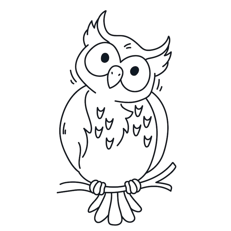Kostenlose Vektor hand gezeichnete eulen-umrissillustration