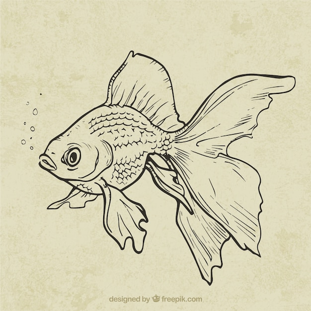 Hand gezeichnete Fische