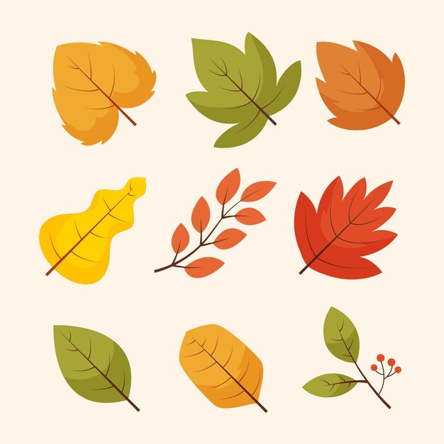 Hand gezeichnete flache Herbstelementsammlung