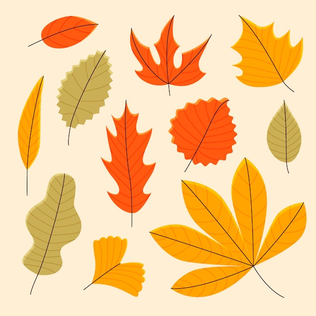 Hand gezeichnete flache Herbstelementsammlung