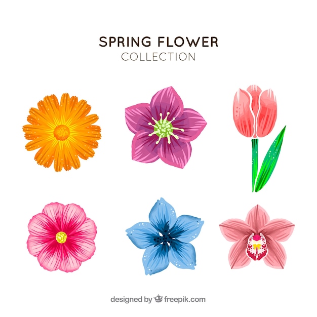 Hand gezeichnete Frühlingsblumensammlung