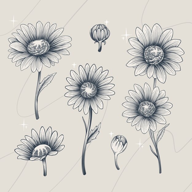 Sonnenblumen Tattoo Bilder - Kostenloser Download auf Freepik