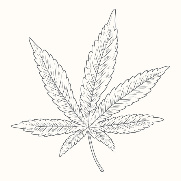 Kostenloser Vektor hand gezeichnete marihuana-blatt-umrissillustration