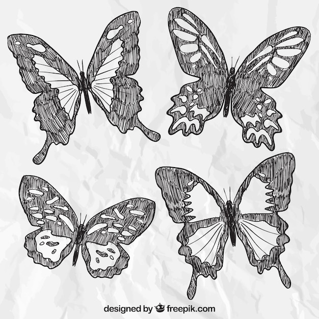 Hand gezeichnete Schmetterlinge