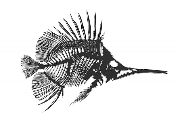 Fisch skelett hand knochen Kostenlose Icon