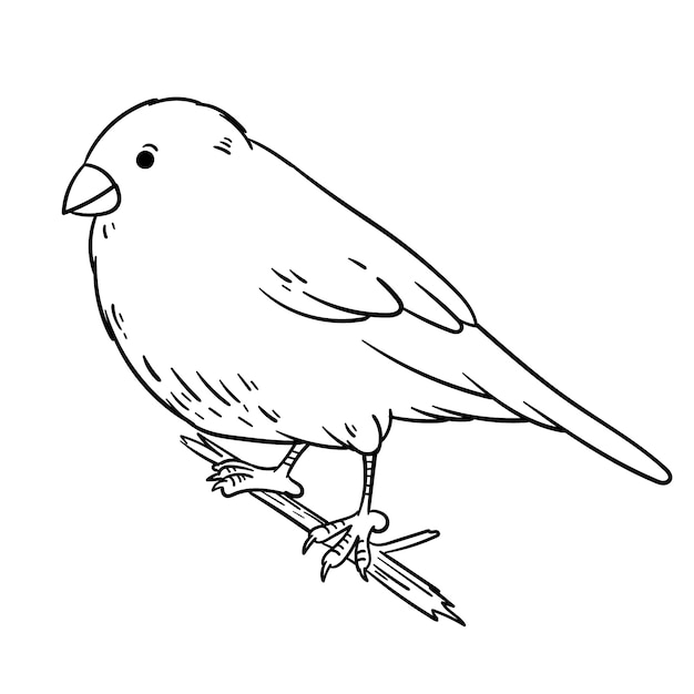 Hand gezeichnete Vogelumrissillustration