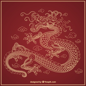 Hand gezeichneter drache des traditionellen chinesen Premium Vektoren
