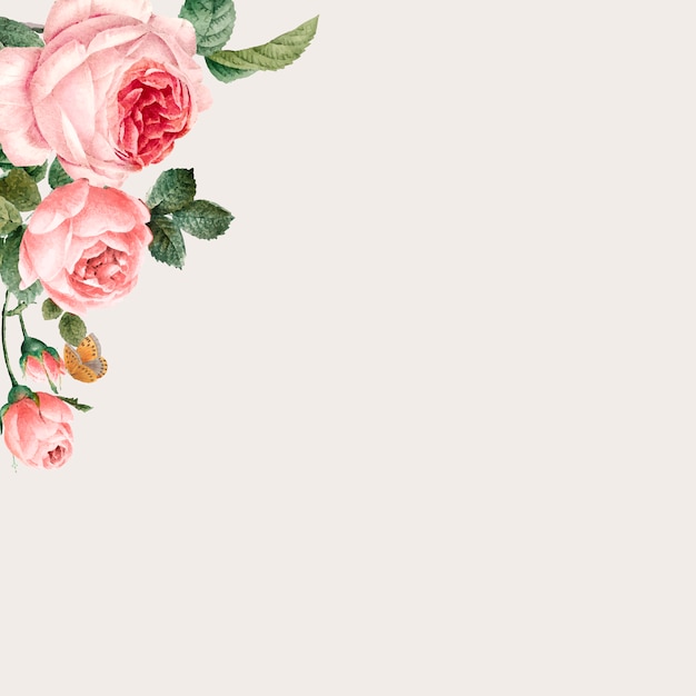 Hand gezeichneter rosa Rosenrahmen auf beige Hintergrundvektor
