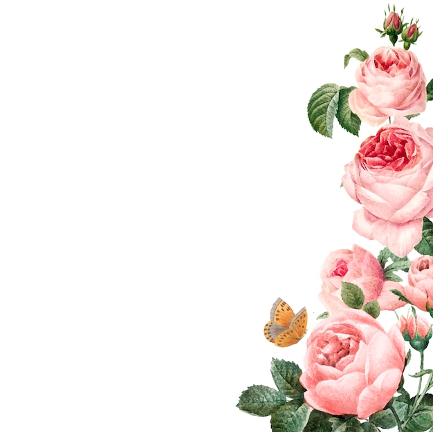 Hand gezeichneter rosa Rosenrahmen auf weißem Hintergrundvektor