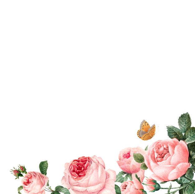 Hand gezeichneter rosa Rosenrahmen auf weißem Hintergrundvektor