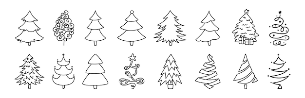 Bilder Tannenbaum Gratis Vektoren Fotos Und Psds