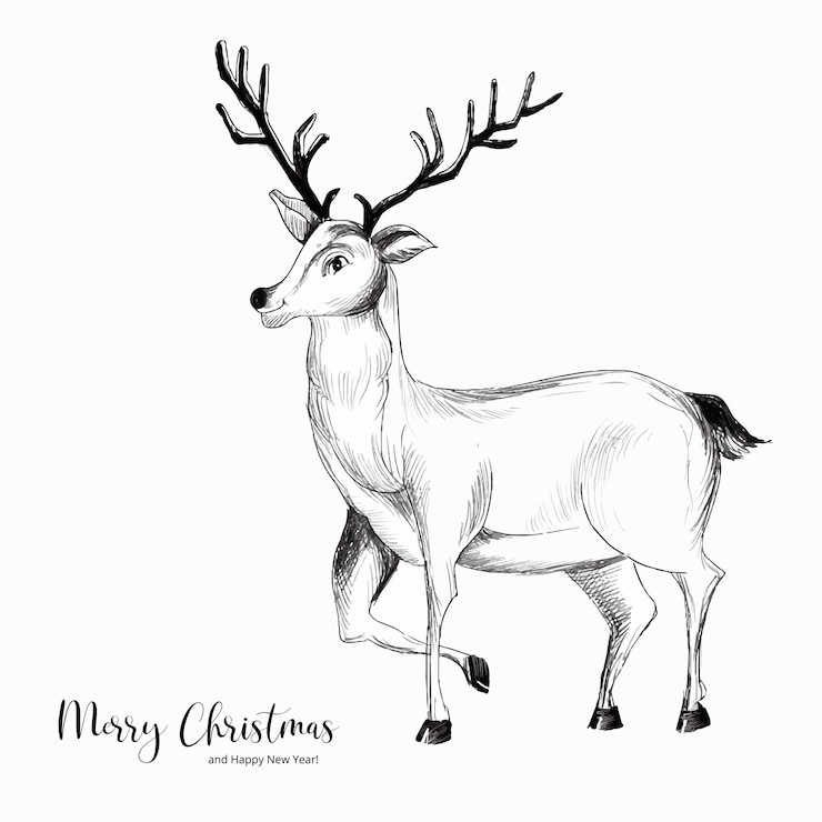 Kostenlose Vektor hand gezeichnetes wildes skizzendesign des weihnachtsrotwildtiers