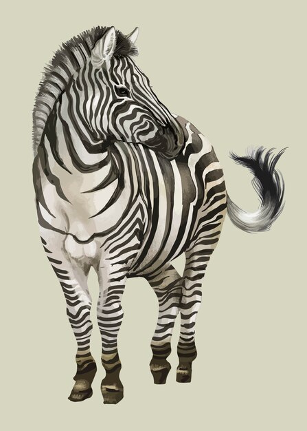 Hand gezeichnetes Zebra