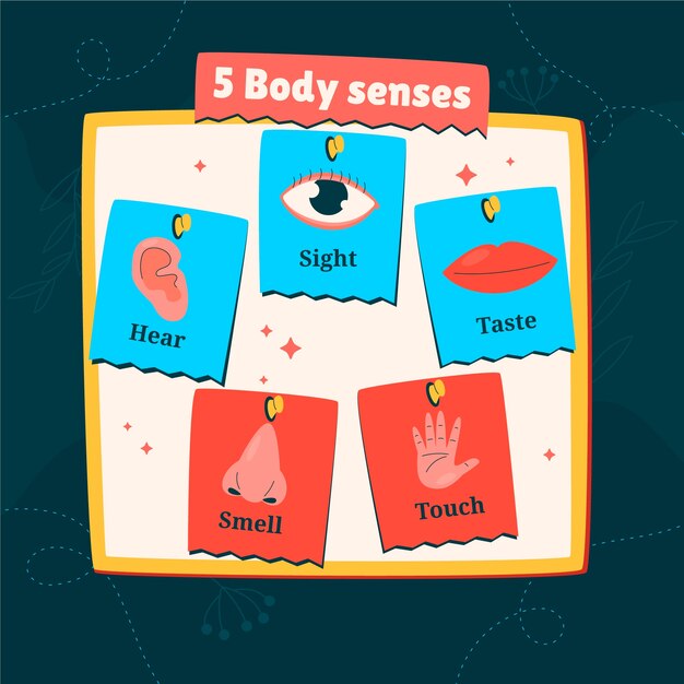 Handgezeichnete 5-Sinne-Illustration