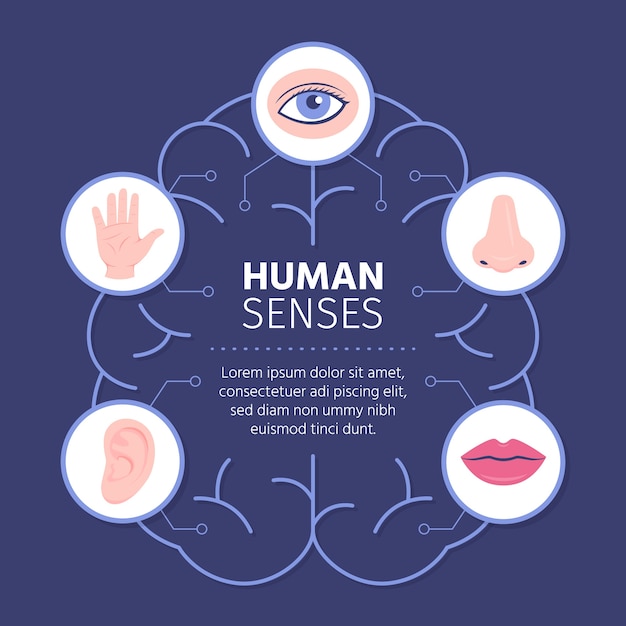 Kostenloser Vektor handgezeichnete 5 sinne infografik