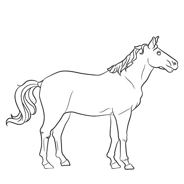 Handgezeichnete abbildung des pferdeumrisses